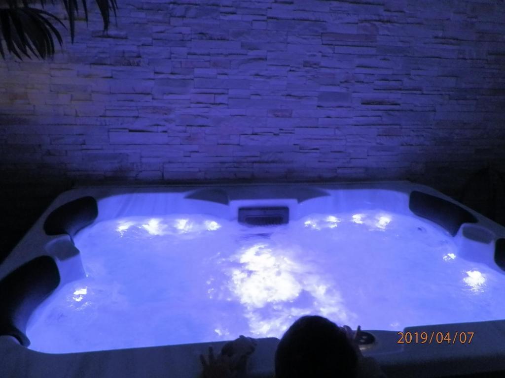 GITE IZALIN AVEC SPA A 20 min du Puy du Fou - Maison De Deux Chambres