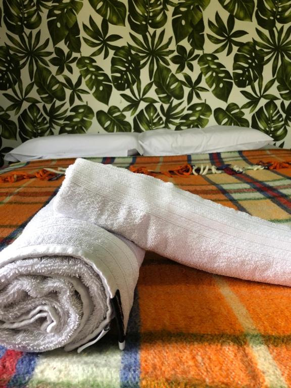  Sampa Hostel