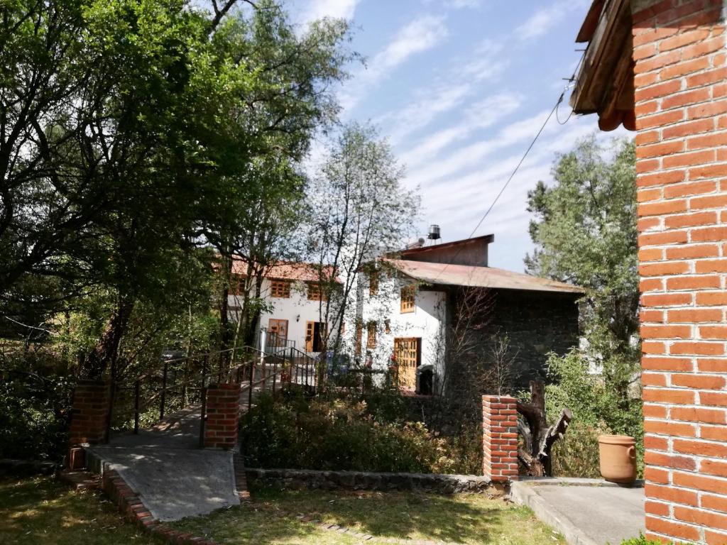 Zahrada ubytování Hotel Del Rio