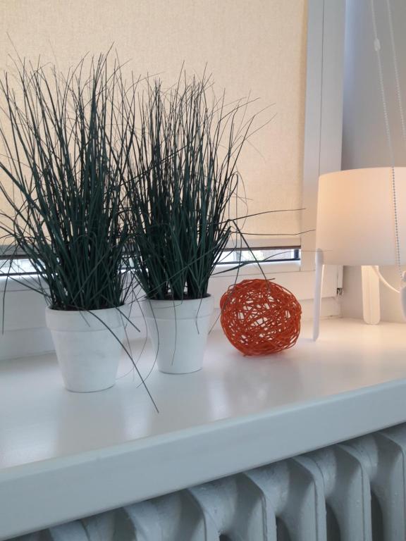 Dobranocka - pokoje i całoroczne domki blisko Energylandii - 1