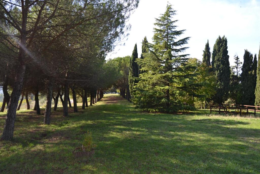 a path through a park with a pine tree at Agriturismo I Muri in Monte Santa Maria Tiberina
