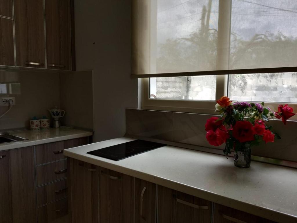 Cuina o zona de cuina de Olive B&B