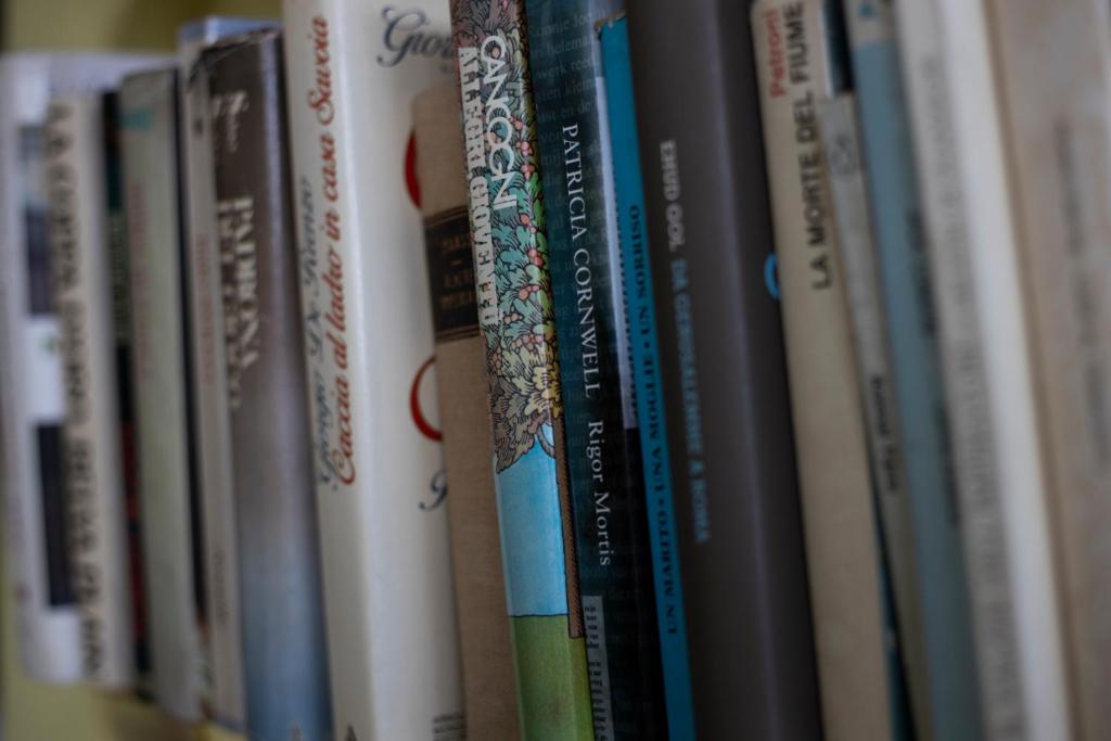 una fila de libros en un estante en Camping Dolce Sole en Marina di Massa