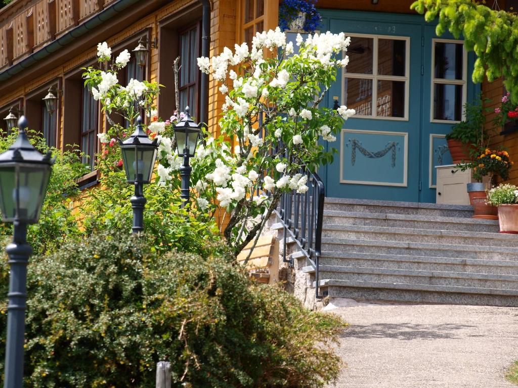 Zahrada ubytování Hotel Restaurant Peterle