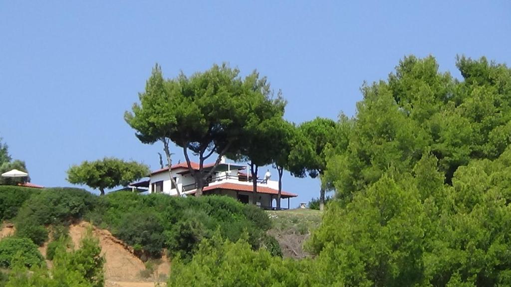 une maison au sommet d&#39;une colline avec des arbres dans l&#39;établissement Villa Oasis, à Potidée