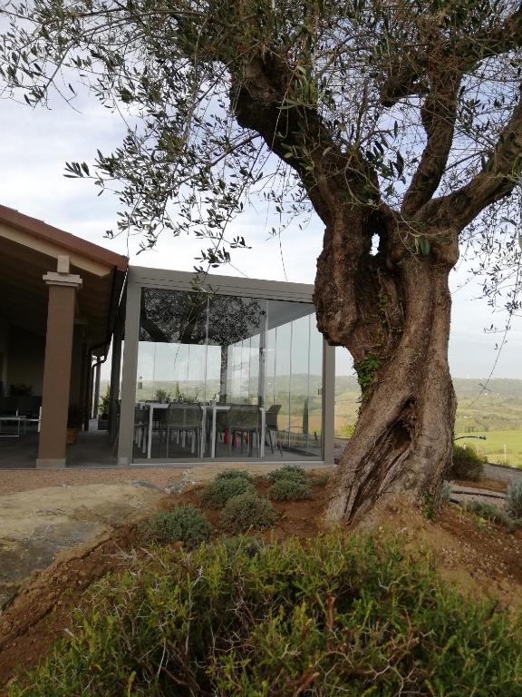 Zahrada ubytování Agriturismo Le Piccole Macìe