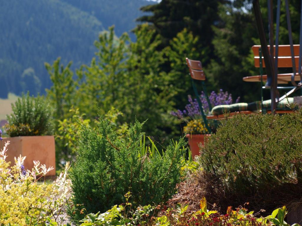 Zahrada ubytování Hotel Restaurant Peterle