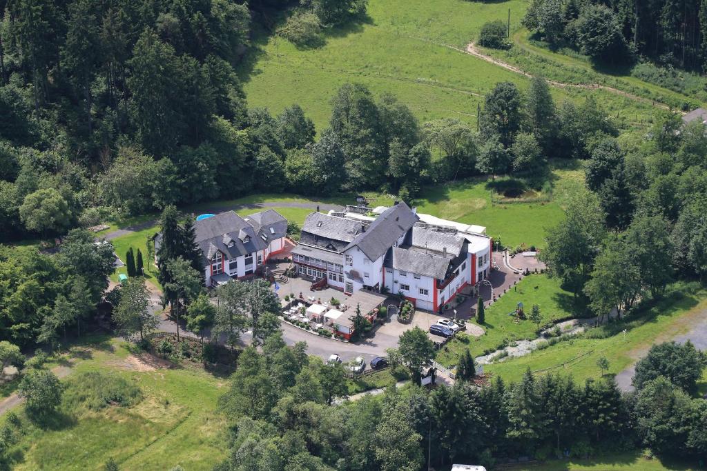 une vue aérienne sur une grande maison dans un champ dans l'établissement Historisches Landhotel Studentenmuehle, à Nomborn