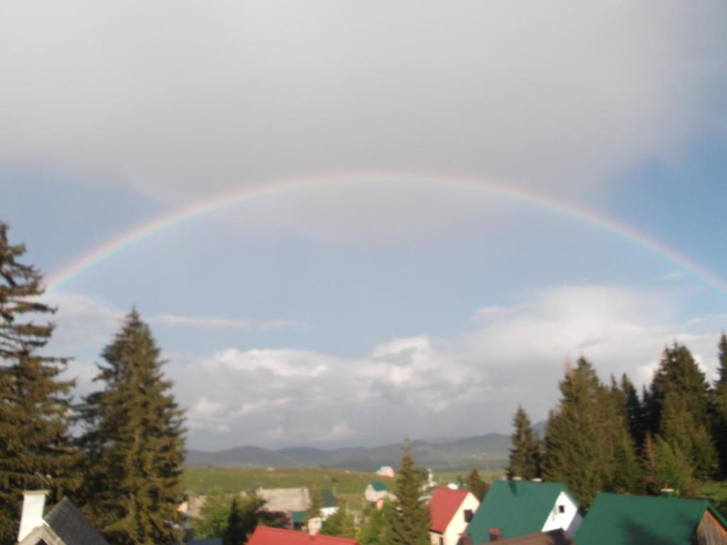 Příroda nedaleko apartmánu