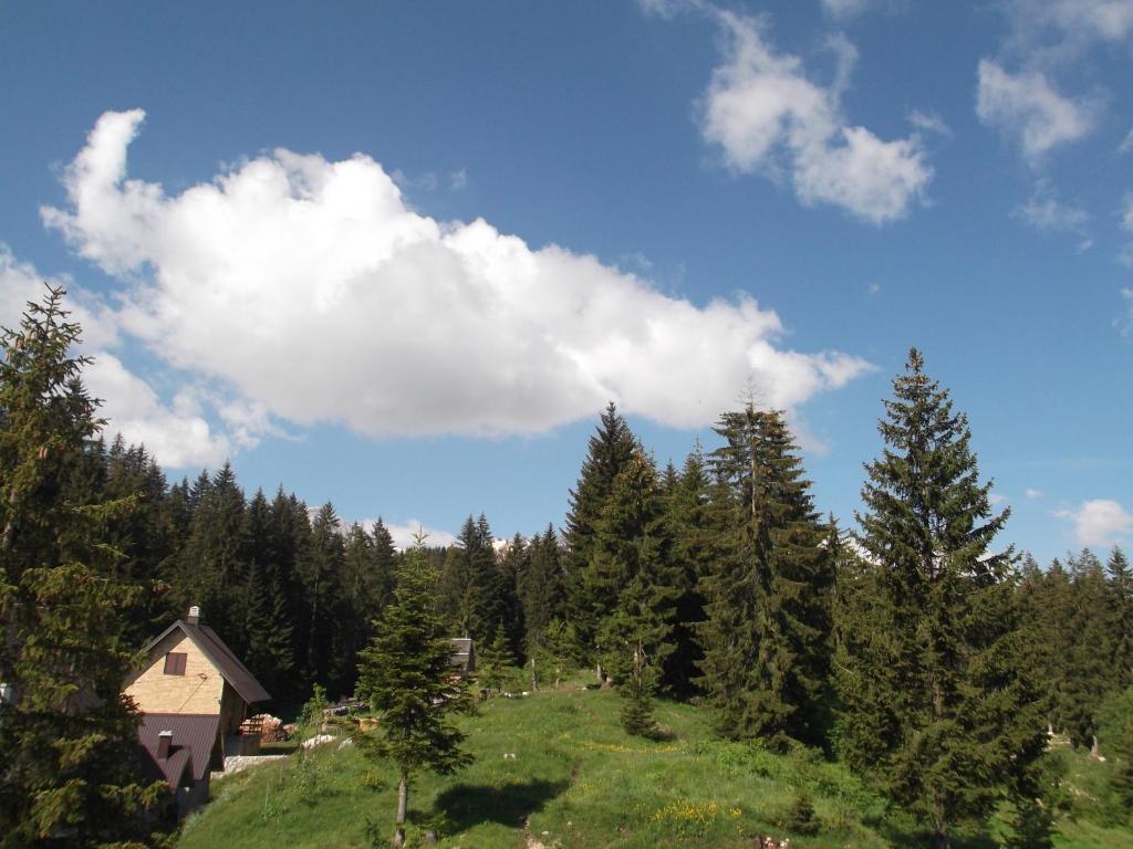Příroda nedaleko apartmánu