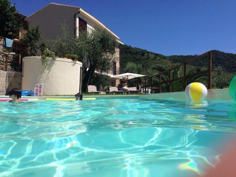 una piscina con una pelota en el agua en Agriturismo Osteria du Barba Pe' - Casa Cassini, en Bordighera