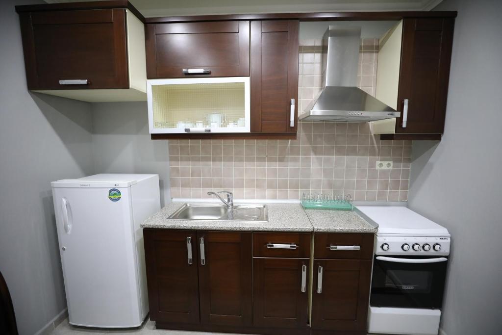 Kuchyň nebo kuchyňský kout v ubytování Bokhtar Apart Hotel