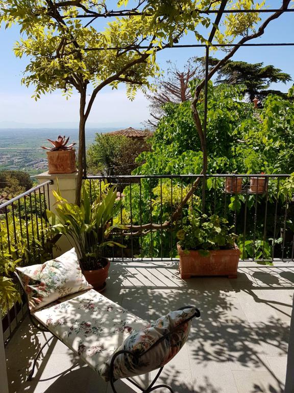 A garden outside Casa dell'Ermanna