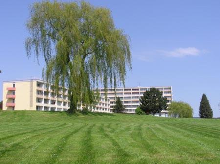 ein Baum auf einem Feld vor einem Gebäude in der Unterkunft Ferienzentrum Bodensee in Oberteuringen