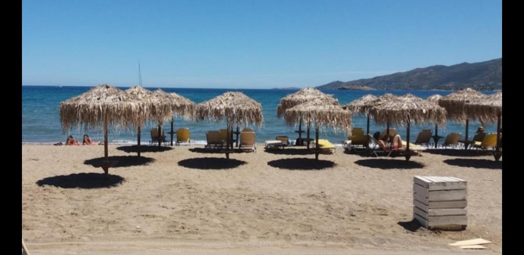 plaża ze słomianymi parasolami i krzesłami oraz oceanem w obiekcie Forest & Sea Apartment w Poros