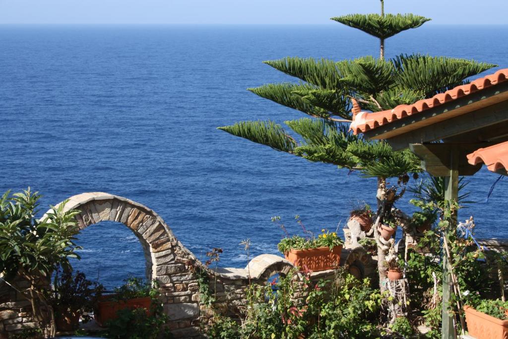 un jardín con el océano en el fondo en Panorama en Armenistis
