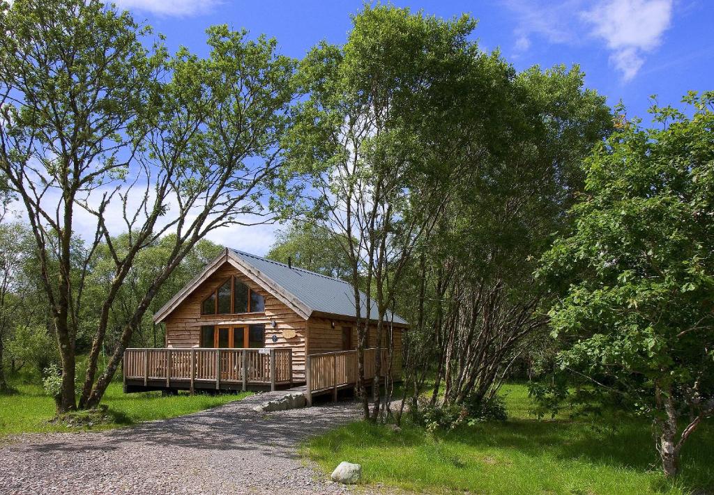 una cabaña de madera en medio de un bosque en Loch Aweside Forest Cabins, en Dallavich
