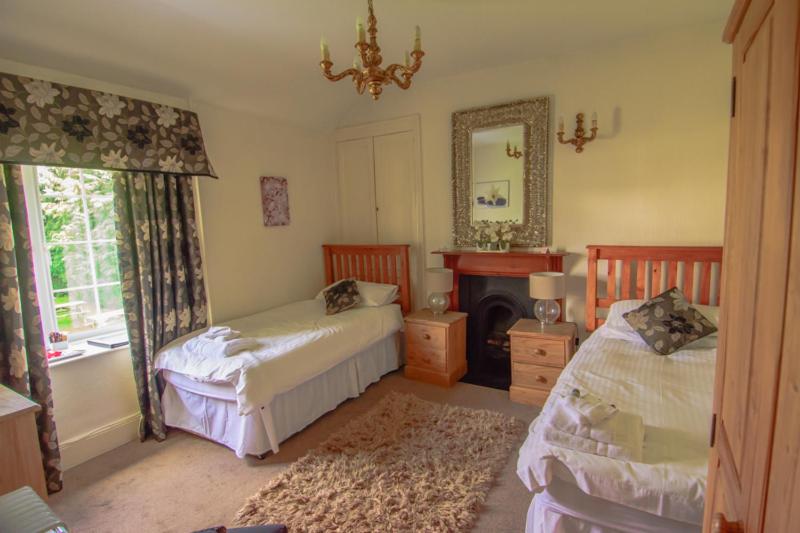 a bedroom with two beds and a fireplace and a mirror at The Penrhos Arms in Cemmaes