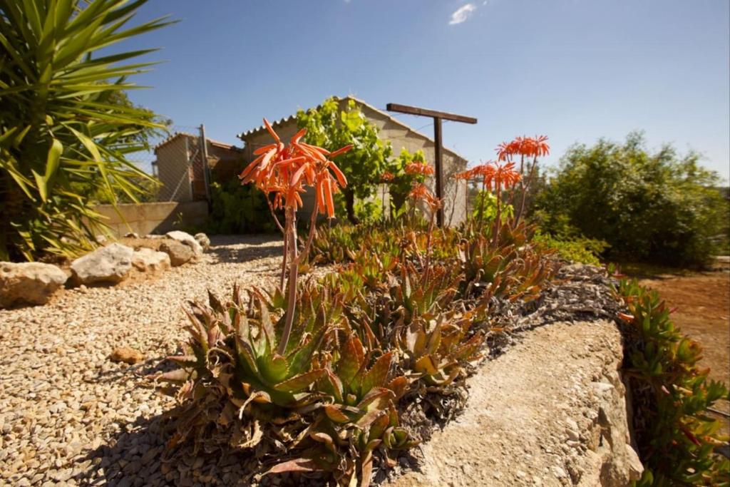 Villa Anam Cara (Spanje Navarrés) - Booking.com
