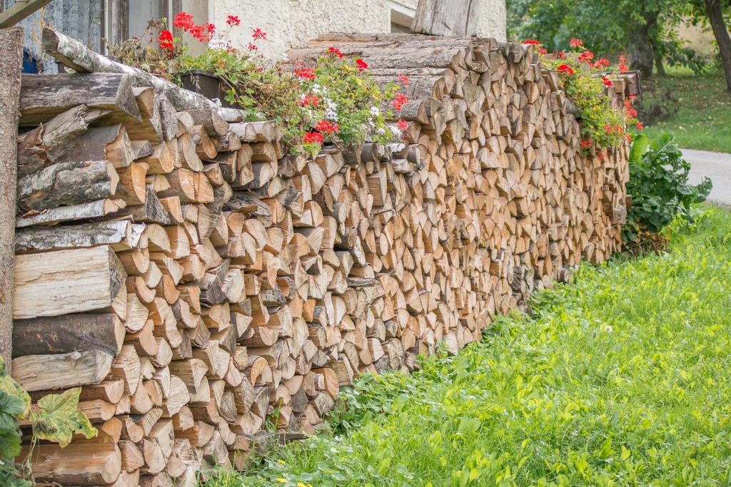 Zahrada ubytování Balsnhof