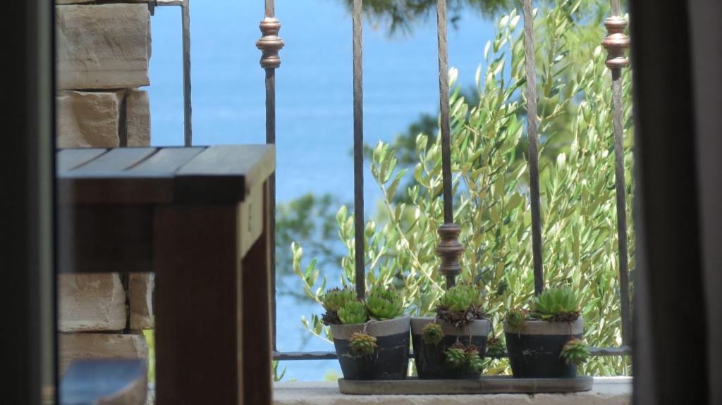 un grupo de plantas en macetas sentadas en el alféizar de una ventana en Vila Familia Hvar, en Vrboska