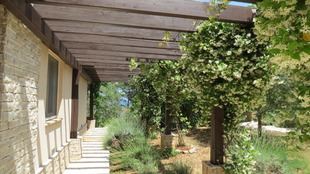 Zahrada ubytování Vila Familia Hvar