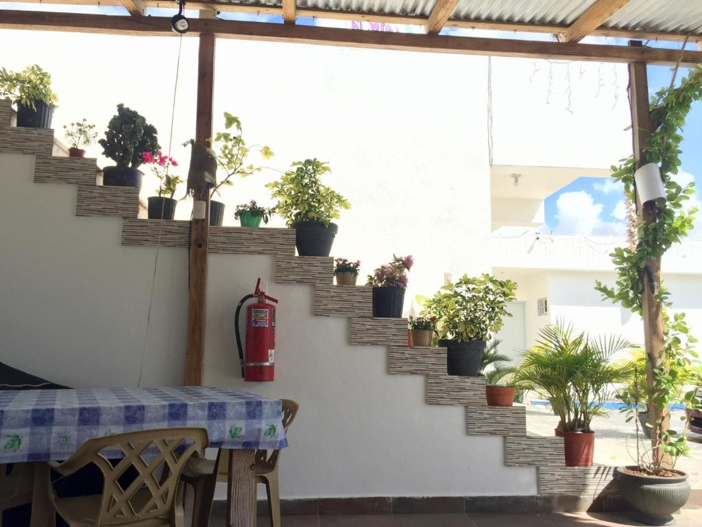 Balkón nebo terasa v ubytování Albergo El Pulpo, Bayahíbe