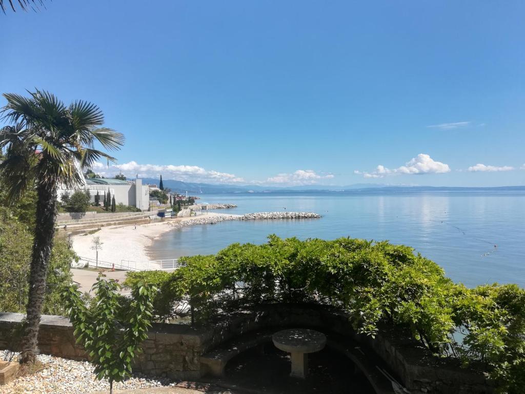 uma vista para uma praia com uma palmeira e o oceano em Studio apartman Arni em Rijeka