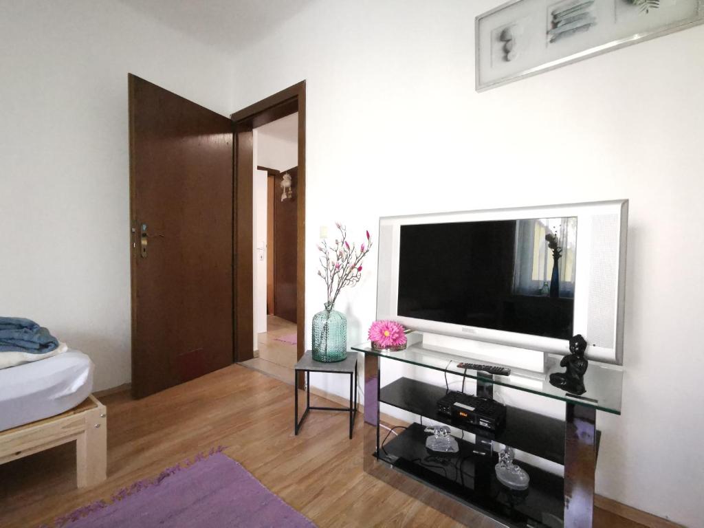 A television and/or entertainment center at Maya's Easy Apartment Graz