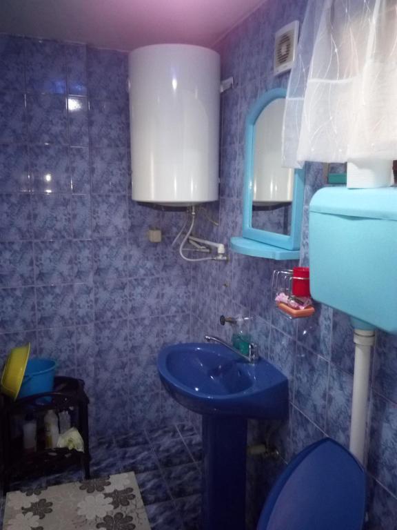 Kuhinja ili čajna kuhinja u objektu Apartment & Rooms Aleksandar