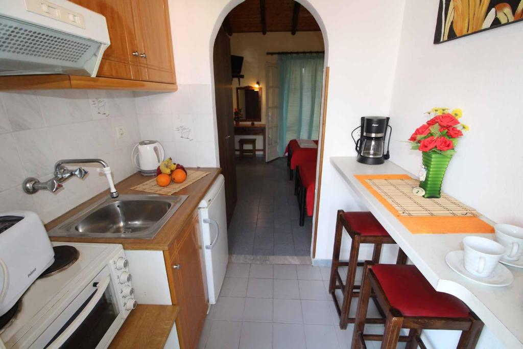 Kuchyň nebo kuchyňský kout v ubytování Dimitris Studios Acharavi Corfu