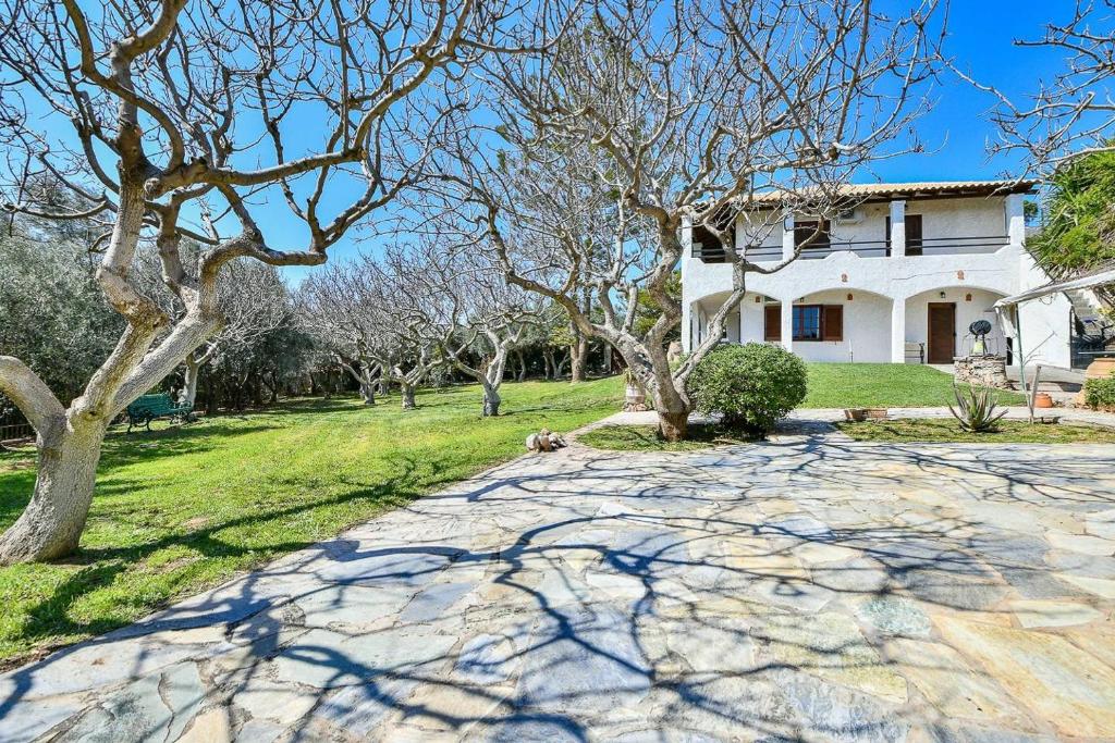 a house with trees and a stone driveway at Light-filled home with Garden near Beach in Anavyssos