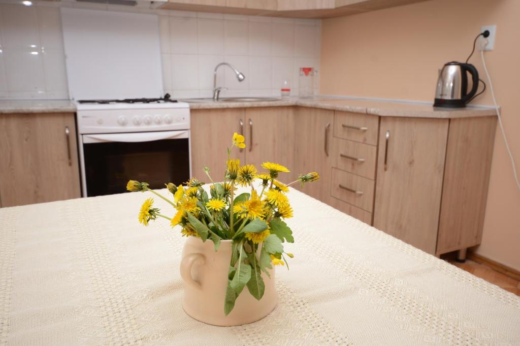 Kuchyň nebo kuchyňský kout v ubytování Olimpo Guest House