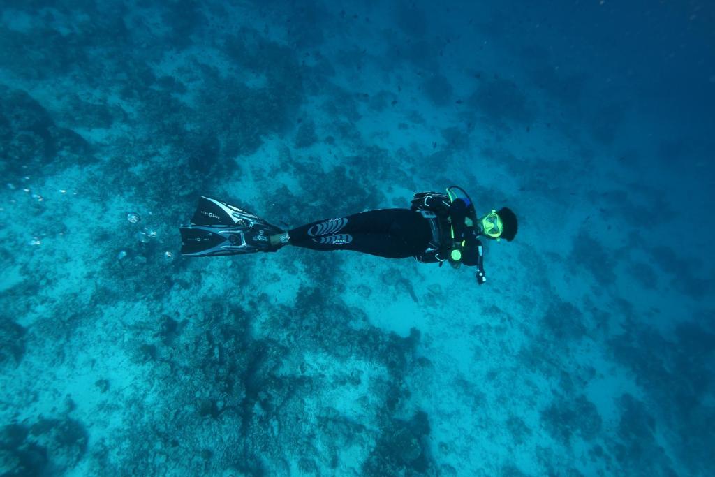 Scuba Inn モルディブ Omadhoo Booking Com