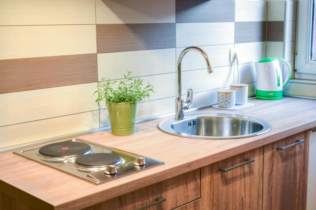 Kuchyňa alebo kuchynka v ubytovaní Apartmani Matko