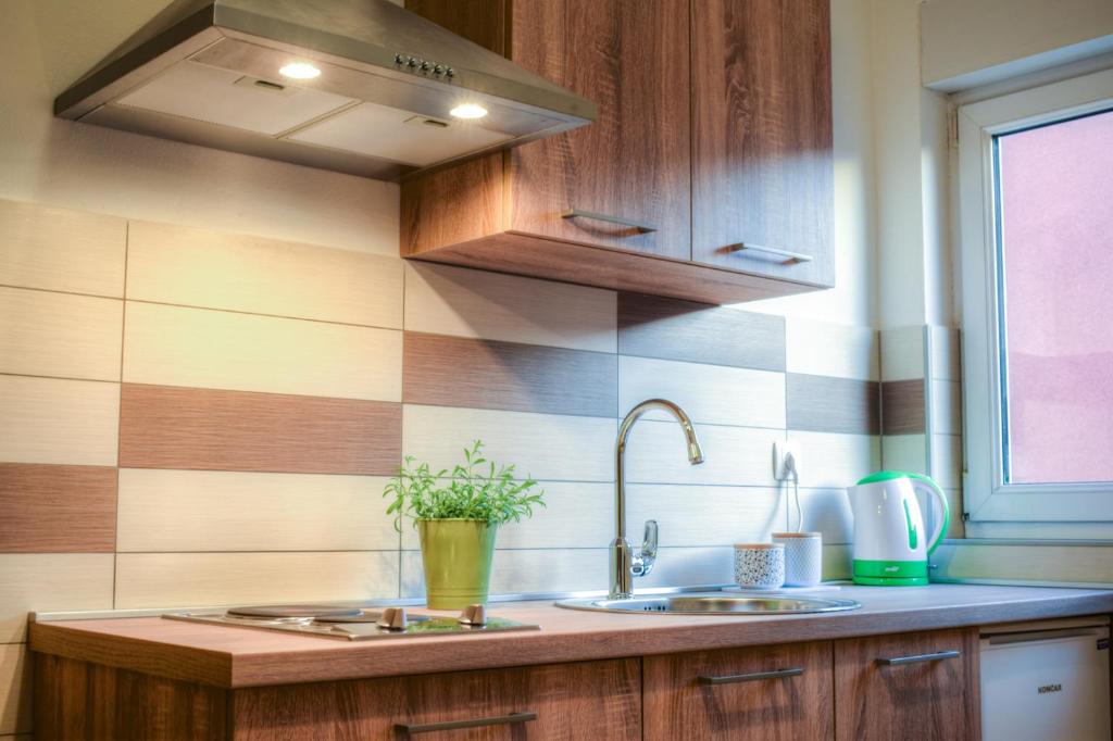Kuchyňa alebo kuchynka v ubytovaní Apartmani Matko