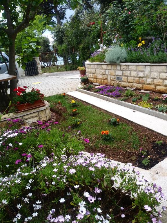Vonkajšia záhrada v ubytovaní Apartments Zia