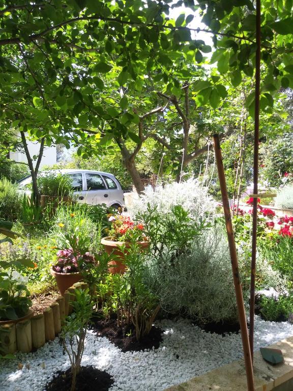 Vonkajšia záhrada v ubytovaní Apartments Zia