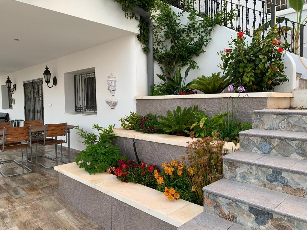 Zahrada ubytování Maison Al Riad