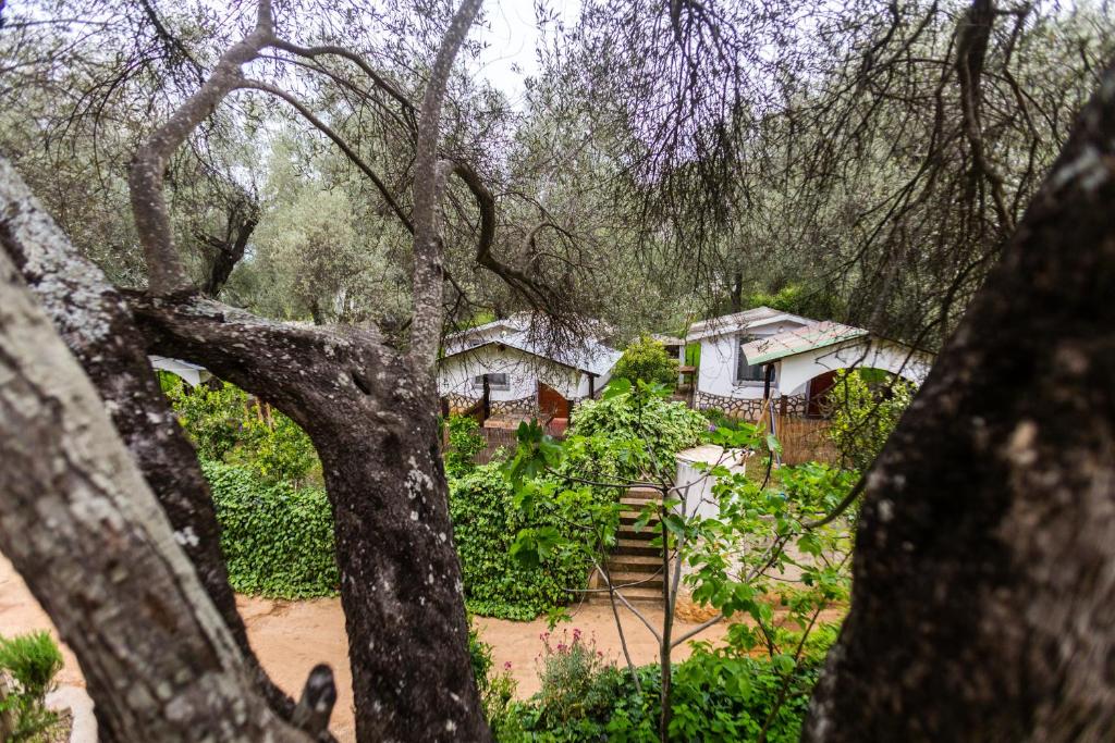 a view of a house through the trees at Raj mira in Utjeha