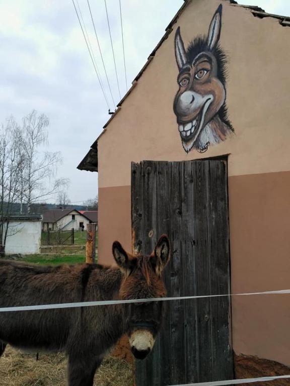 Fotografie z fotogalerie ubytování penzion U Kmotra v Borovanech