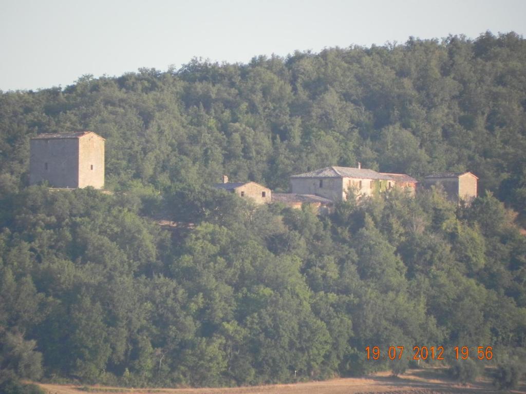 Przyroda w pobliżu of this country house