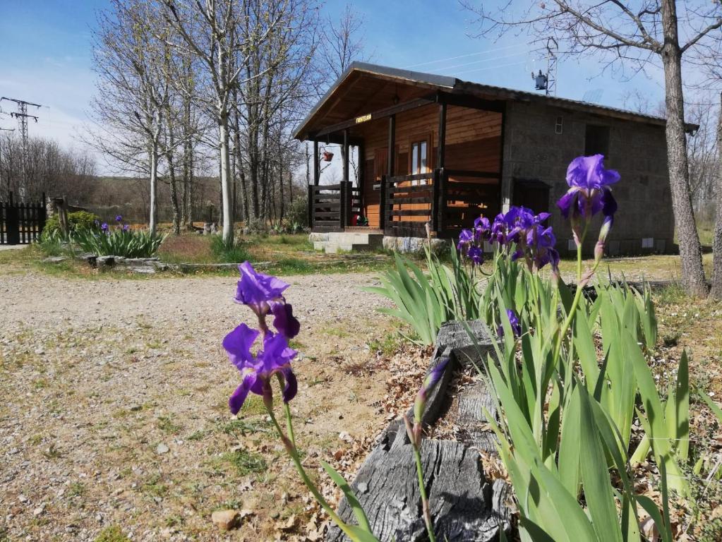 Zahrada ubytování Cabañas Vallecino