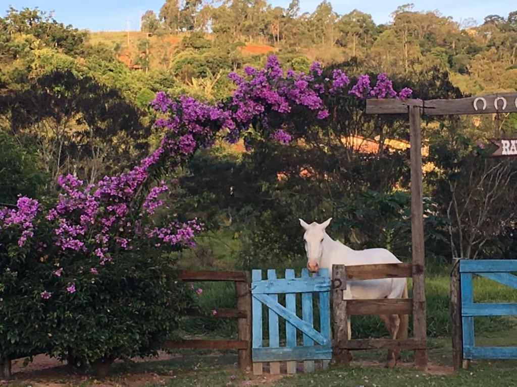  Fazenda Paisagem Chalés