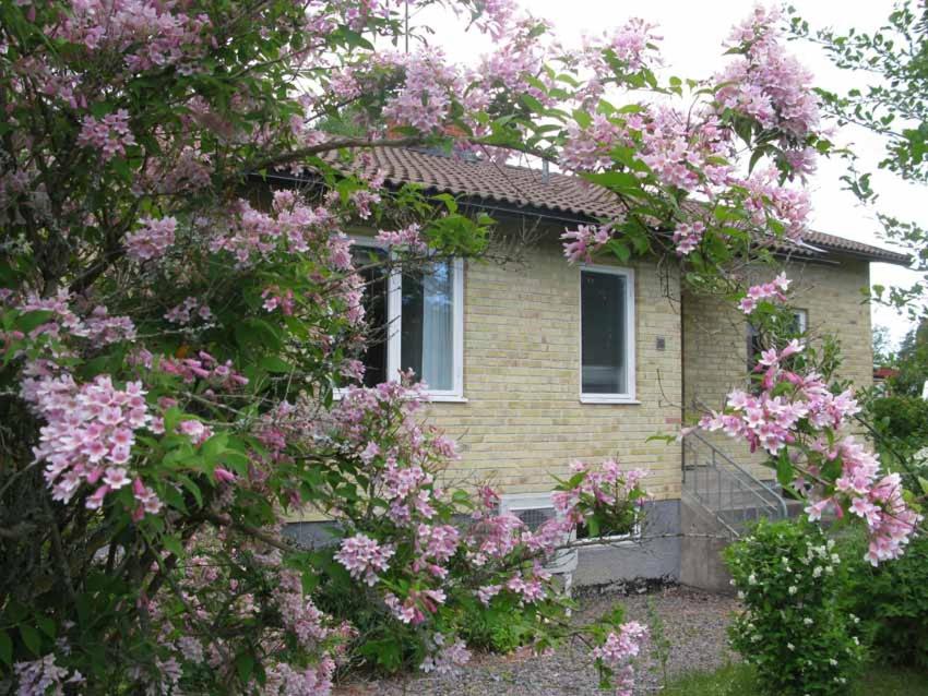 una casa con flores rosas delante de ella en Stenslid Bottna By St Anna en Söderköping