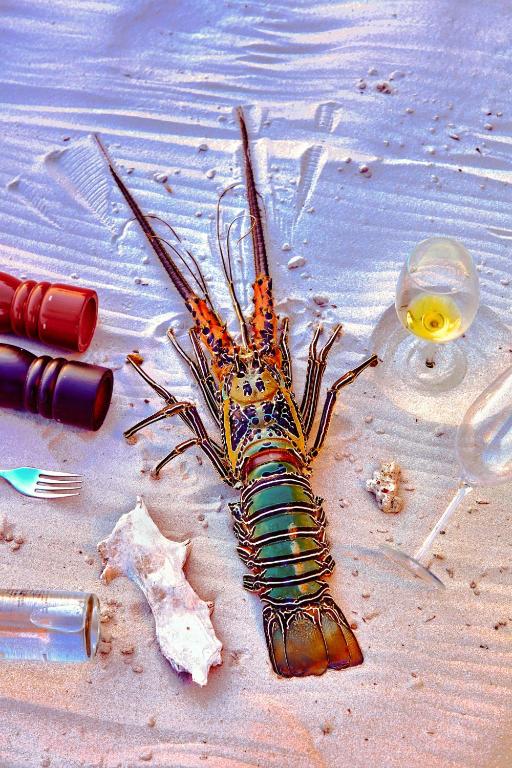 a dead lobster on the beach with a glass at Taj Exotica Resort & Spa, Andamans in Havelock Island