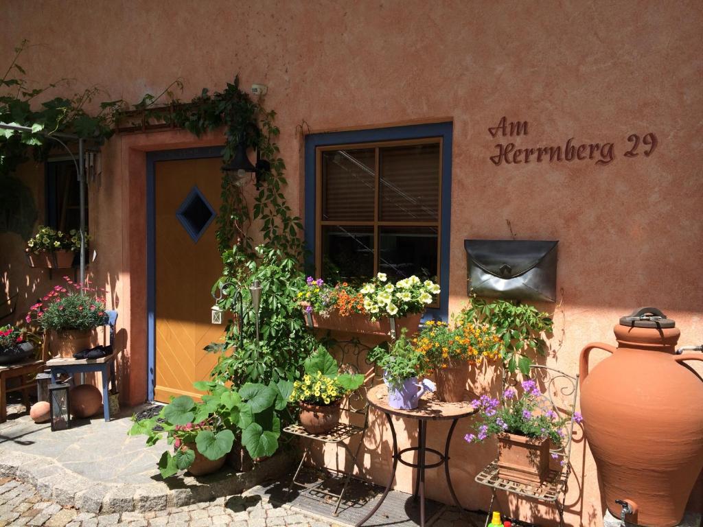 a bunch of potted plants sitting outside of a building at Ferienwohnung Frühauf in Prien am Chiemsee