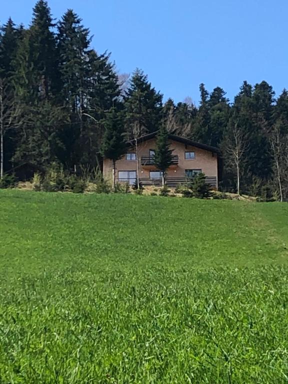 una casa en medio de un campo verde en Ferienwohnung am Waldrand von Egg /Bregenzer Wald, en Egg