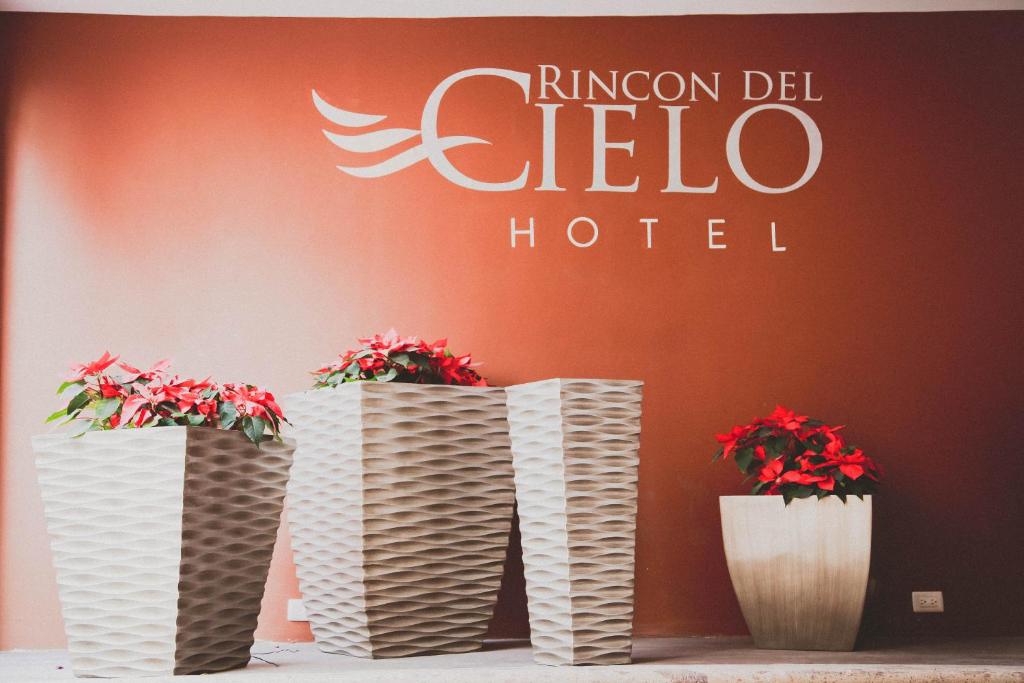 dwie wazy z kwiatami przed hotelem w obiekcie Hotel Rincon del Cielo w mieście San Juan de los Lagos
