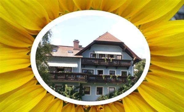a mirror reflection of a building on a sunflower at Appartement Resch in Mariapfarr